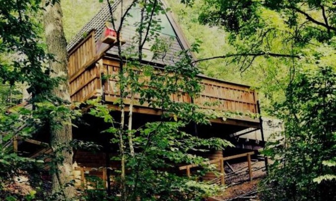 Septon Chalet De Esquí | A chalet on a hill in the forest, with a beautiful view of the Ardennes.