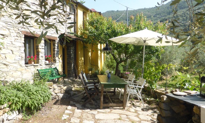 Vasia Casa | Una casa de artista independiente en medio del olivar,