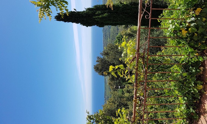 Santa-Maria-Poggio Villa | Una casa balcón de la chataigneraie.