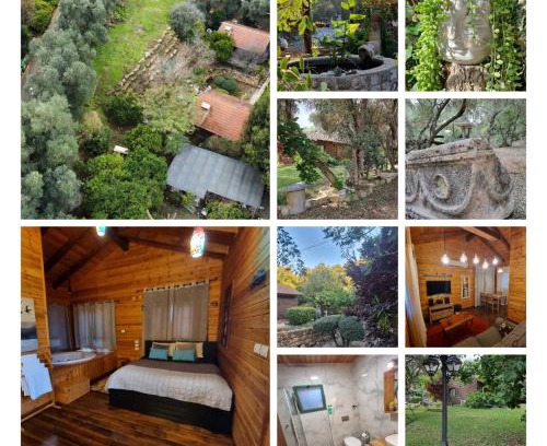 Zippori Cabina | A Place To Dream