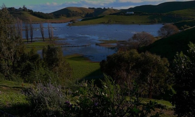 Puketapu Casa | Un toque de país cerca de la ciudad -LangTree Cottage