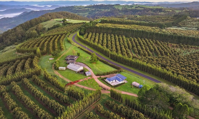 Comboyne Casa | Hilltop Farm Stay: su máxima relajación