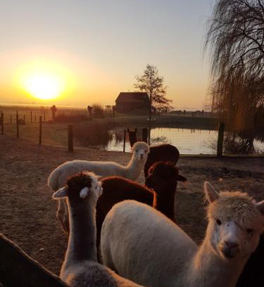 Aagtekerke Apartamento | Aan de Waterspiegel