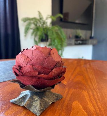 Ouro Preto Casa | Acomodação Bela Vista