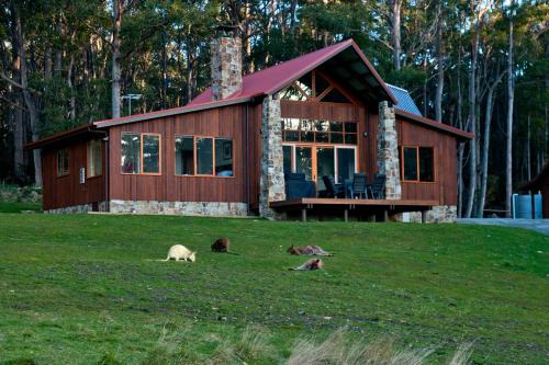 Adventure Bay Cabina | Adventure Bay Retreat Bruny Island