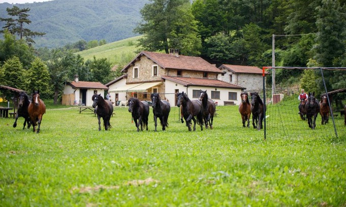 Bedonia Casa | Agriturismo Carovane