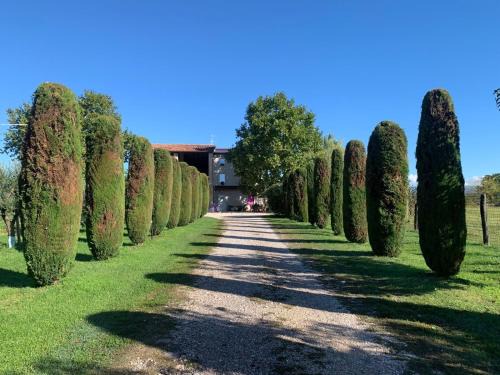 Pescantina Apartamento | Agriturismo Corte Bonetti - Appartamento i Cipressi