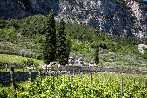Ceniga Cama Y Desayuno | Agriturismo Maso Lizzone