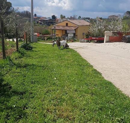 Ariano Irpino Cama Y Desayuno | Agriturismo San Tommaso