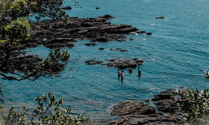 Te Kaha Casa | Casa de vacaciones junto al mar en Te Kaha