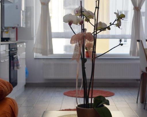 Brasov Apartamento | Aki studio