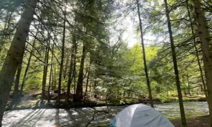 Harris Alquiler De RV | Akuniel & Guatu Ninaru -River Sites Taino Woods