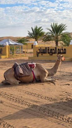 Al Kamil Otro | AL hawiyah camp
