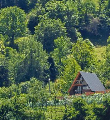 Ambrolauri Casa | Alagi ალაგი