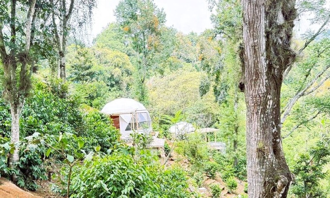 Coatepec Hotel | Alma Glamping