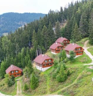 Wolfsberg Casa | Almhüttendorf Klippitztörl