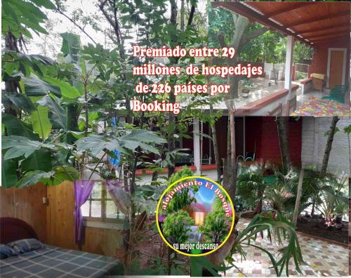 Encarnacion Casa | Alojamiento El Bosque