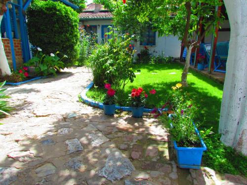 Selcuk Casa | Amazon Antique