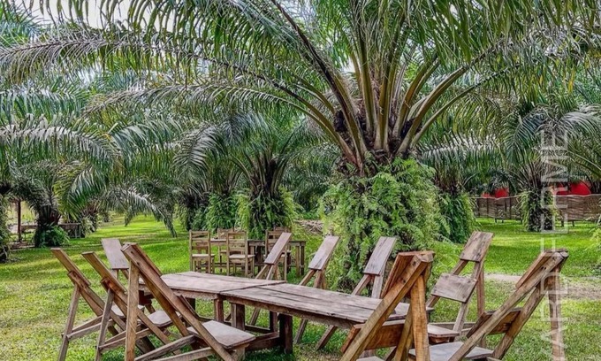 Ahozon Otro | AMBA YARD