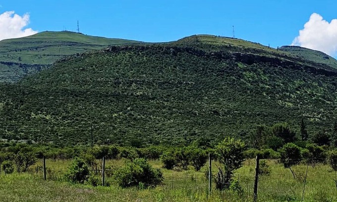 Komani Apartamento | Amberdale Estate Self Catering