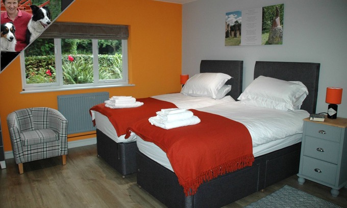 Newbold Coleorton Apartamento | Entre las hojas tan verdes ... National Forest Studio Gem