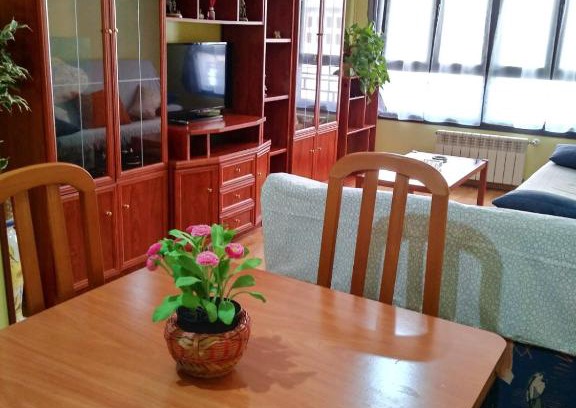 Cangas de Onís Apartamento | Amplio Loft con plaza de garaje