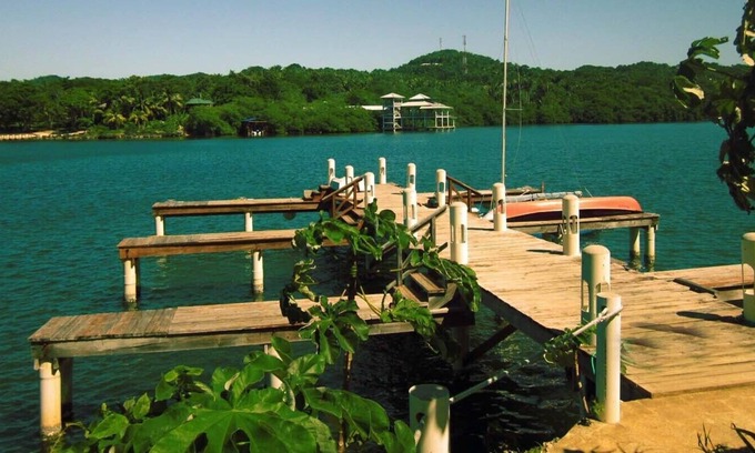 Antoneys Cay Condominio | An Oasis in West End: Waterfront with Pool and Dock
