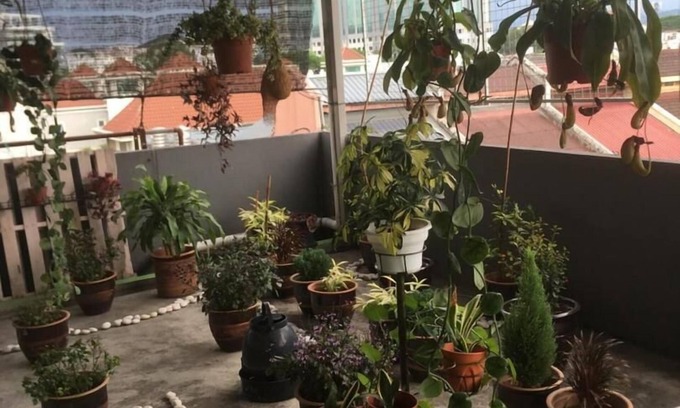 Jawa Hotel | Anderson Hotel