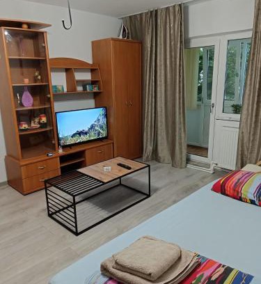 Craiova Apartamento | Apartament 2 camere