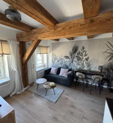 Leszno Apartamento | Apartament Centro 9