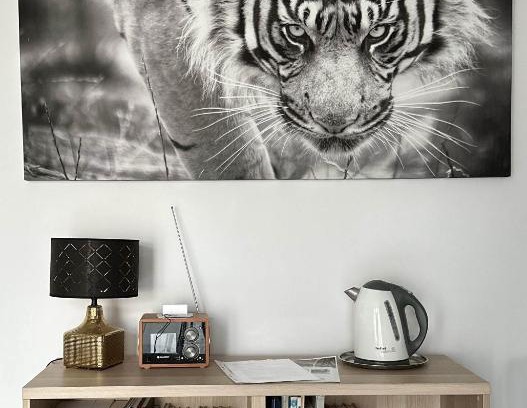 Piestany Apartamento | Apartmán Lodenica