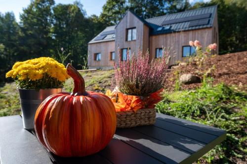 Bedrichov Apartamento | Apartmány Hraničná s privátním wellness