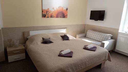 Pardubice Apartamento | Apartmány Svítkov 79