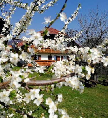Mozirje Casa | Apartma Lesjak - pobeg v naravo 2