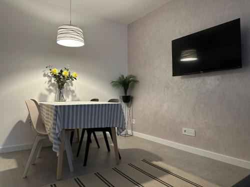 Dorcol Apartamento | Apartman Dorćol VS60
