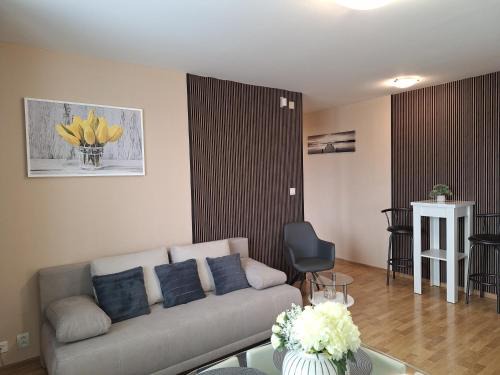 Liptovsky Mikulas Apartamento | Apartman Elegance