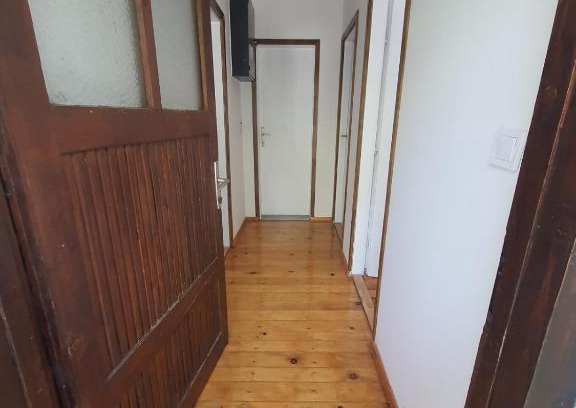 Pluzine Apartamento | Apartman Perović