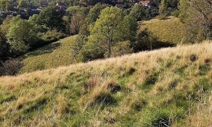 Lerbach Apartamento | Apartamento 'Bergwiesen' con vistas a la montaña, Wi-Fi y aire acondicionado