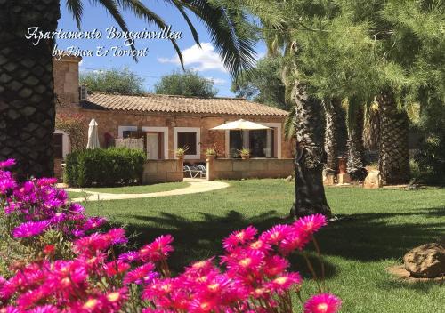 Campos Apartamento | Apartment Bougaivillea by Finca Es Torrent