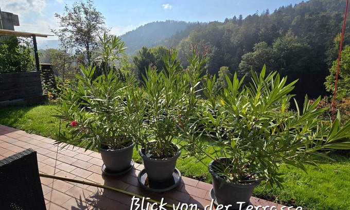 Bad Herrenalb Apartamento | Apartment 'Burkhardt' with Mountain View, Private Terrace and Wi-Fi