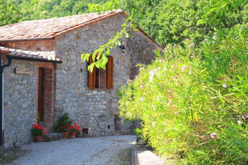Montieri Apartamento | Apartment in Montieri - Toskana 38264