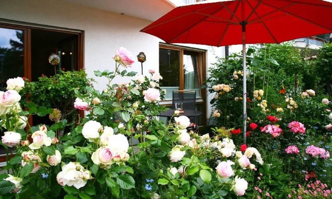 Staufen im Breisgau Apartamento | APARTAMENTO ROSENGARTEN