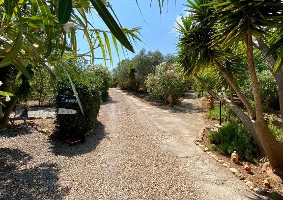 Son Macia Apartamento | Apartment Tejado in Manacor Mallorca - Adults Only