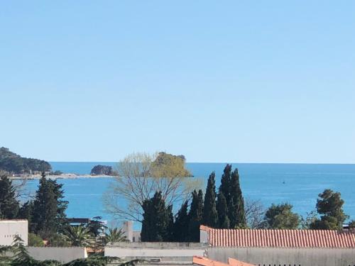 Velji Vinogradi Apartamento | Apartment Veselin