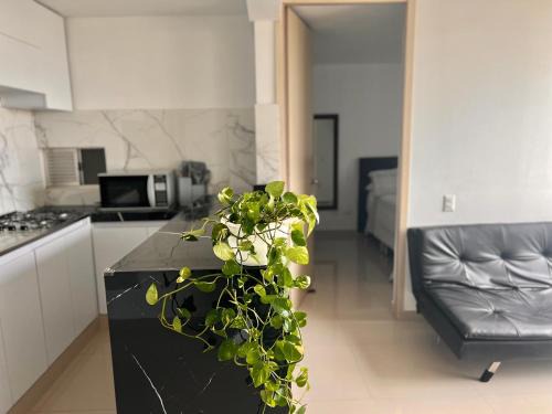 Riomar Apartamento | Apartment with a spectacular view