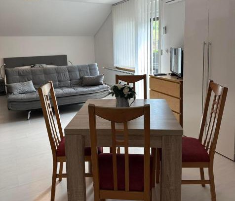 Ljutomer Apartamento | Apartments and Wellness Ščavničar