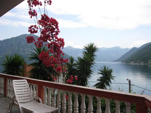 Morinj Apartamento | Apartments Mijuskovic
