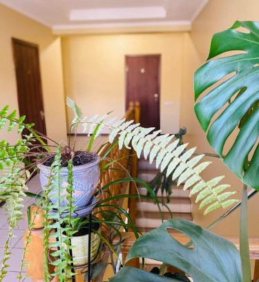 Uman Apartamento | Apartments