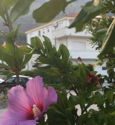 Strozanac Apartamento | Apartments with a parking space Podstrana, Split - 16032