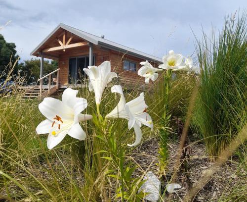 Tasman Casa | Āporo bach - a country retreat